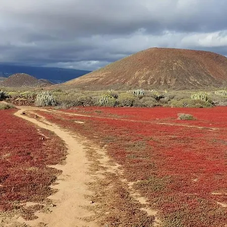 View Of Paradise 滨海帕尔姆