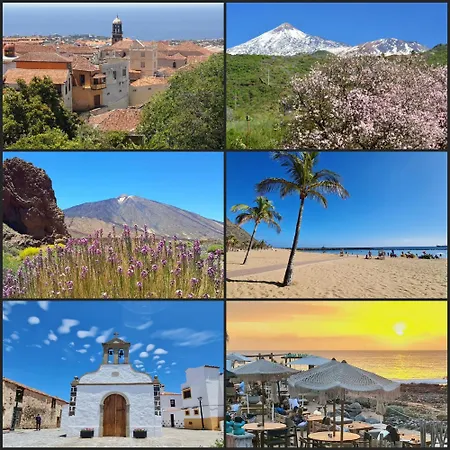 公寓 View Of Paradise 滨海帕尔姆