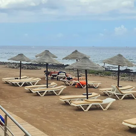 View Of Paradise Palm-mar