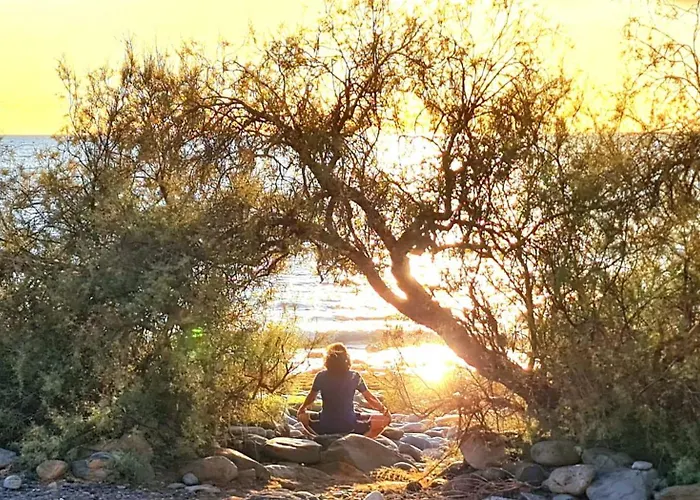 Appartement View Of Paradise Palm-mar