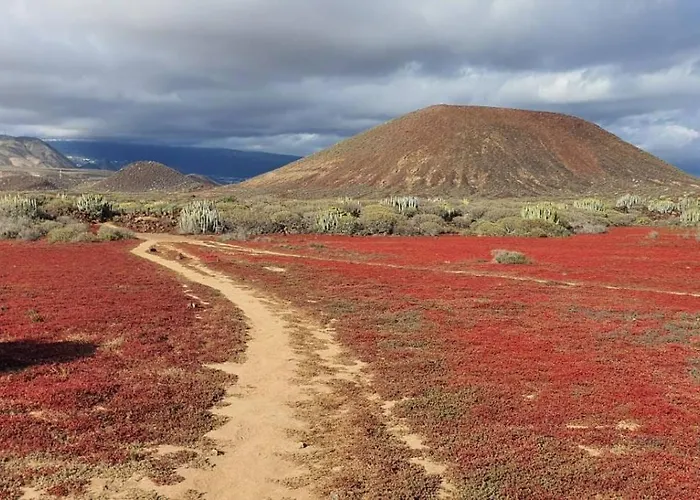 View Of Paradise Palm-mar